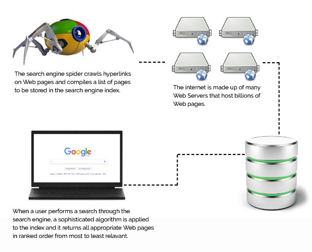 SEO Companies